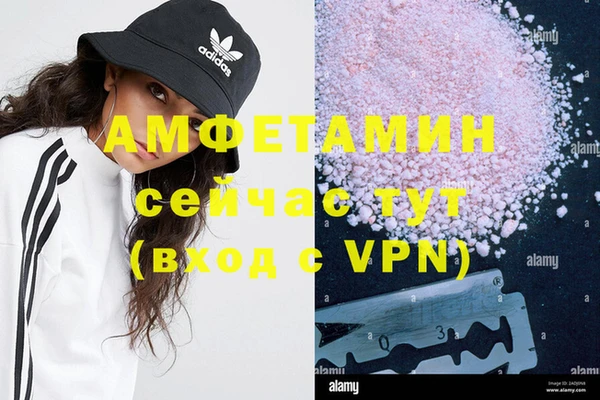 стаф Чита