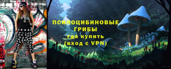 Альфа ПВП Володарск