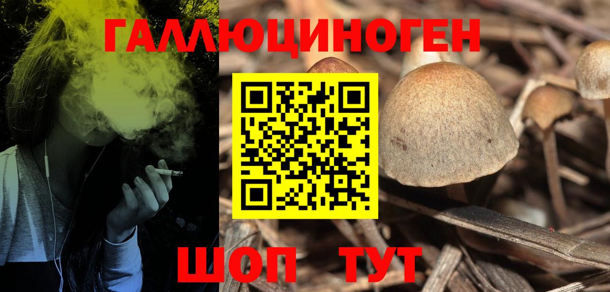 Галлюциногенные грибы GOLDEN TEACHER  Вход с VPN  Георгиевск 